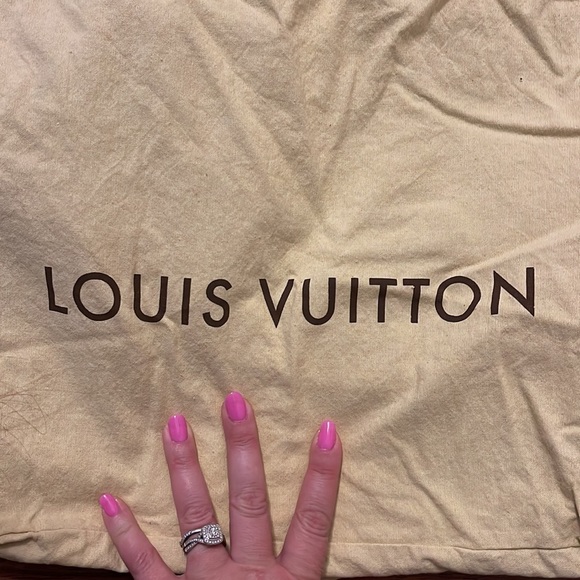Large Louis Vuitton dust bag - Picture 2 of 7